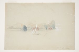 Wellington Head, Great Barrier Id